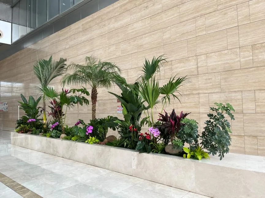 前湾花木租摆 前湾花木租摆